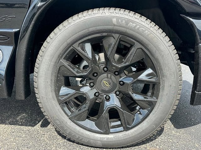 2025 Chevrolet Express Cargo Van Work Van