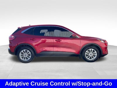 2020 Ford Escape SE