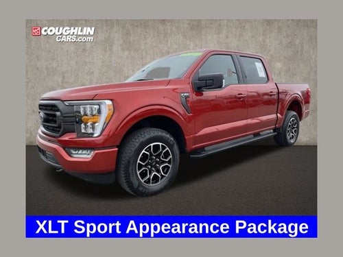 2023 Ford F-150 XLT