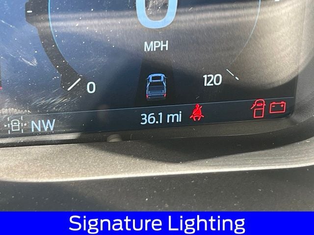 2025 Ford F-150 STX LOBO