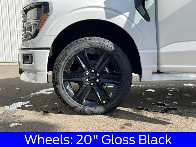 2025 Ford F-150 STX LOBO