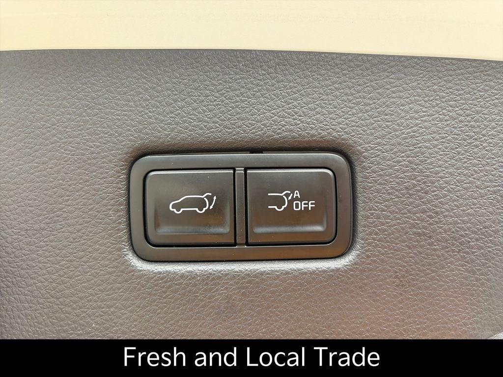 2025 Kia Carnival Hybrid EX