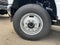 2024 Ford F-350SD XL DRW
