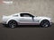 2009 Ford Mustang Shelby GT500